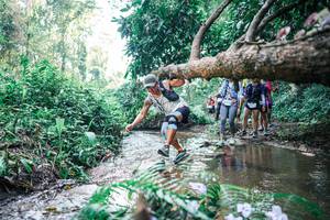 BIB: 
                            <button type="button" onclick="openModal(25452945)" class="btn btn-primary btn-sm float-right btn-popup" data-toggle="modal" data-target=".modal-high-quality">
                        <i class="fas fa-shopping-cart"></i> Add to Cart
                    </button>
                                            <button type="button" onclick="isThisMe(25452945, true)" class="btn btn-success btn-sm float-right btn-popup btn-isme hidden" data-toggle="tooltip" data-placement="bottom" title="นี่คือรูปของคุณใช่ไหม คลิกที่นี่เพื่อเอาเข้าอัลบั้ม">
                        <i class="fas fa-plus"></i> Add to album
                    </button>
                    <button type="button" onclick="isThisMe(25452945, false)" class="btn btn-warning btn-sm float-right btn-popup btn-isnotme hidden">
                        <i class="fas fa-ban"></i> Remove from album
                    </button>